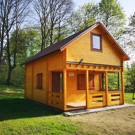 Janowickie Zacisze Janowice Wielkie Exterior foto