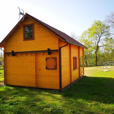 Janowickie Zacisze Janowice Wielkie Exterior foto